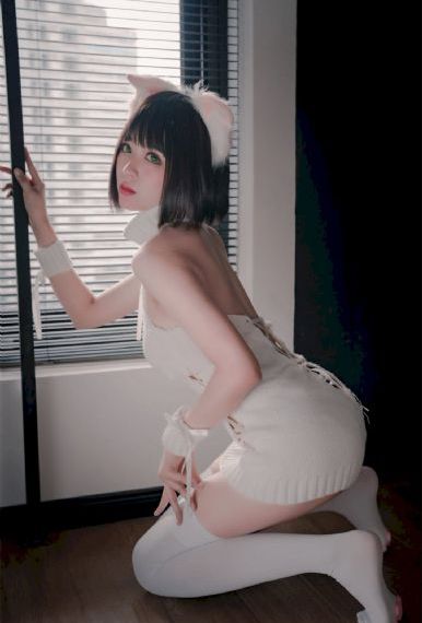 蔷薇风暴电视剧免费播放在线观看