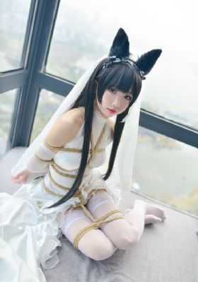 久草视频免费播放