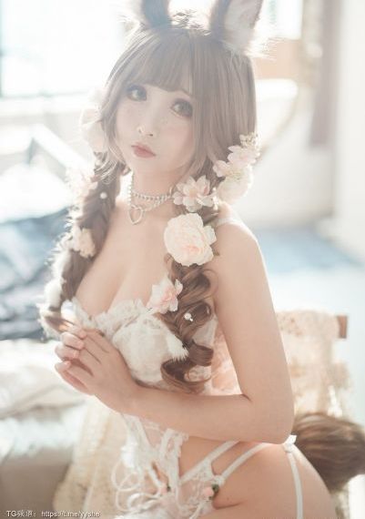 龙谷2